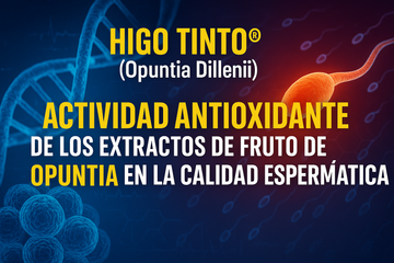 HIGO TINTO® Y FERTILIDAD MASCULINA: Antioxidantes naturales para proteger la vida desde su origen
