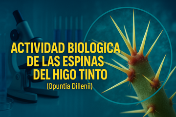 HIGO TINTO®: El poder oculto de sus espinas y su potencial en cultivo industrial
