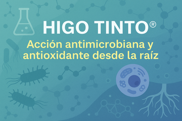 🧪 HIGO TINTO®: Acción antimicrobiana y antioxidante desde la raíz