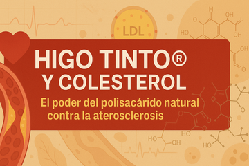 HIGO TINTO® Y COLESTEROL: El poder del polisacárido natural contra la aterosclerosis