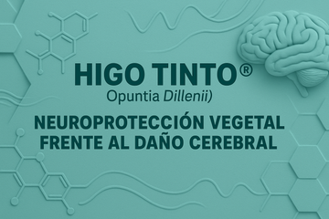 🧠 HIGO TINTO® Y PROTECCIÓN CEREBRAL: Defensa natural frente a daño neurológico por isquemia