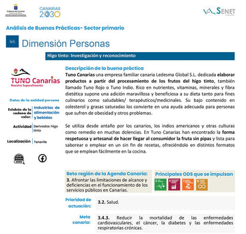 Reconocimiento del Gobierno de Canarias a Ledesma Global S.L. Tuno Canarias - Tuno Canarias