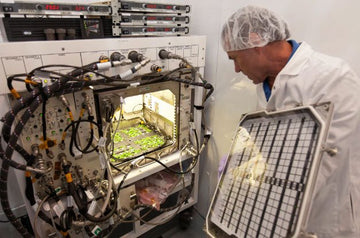 Superalimento Espacial - Tuno Canarias