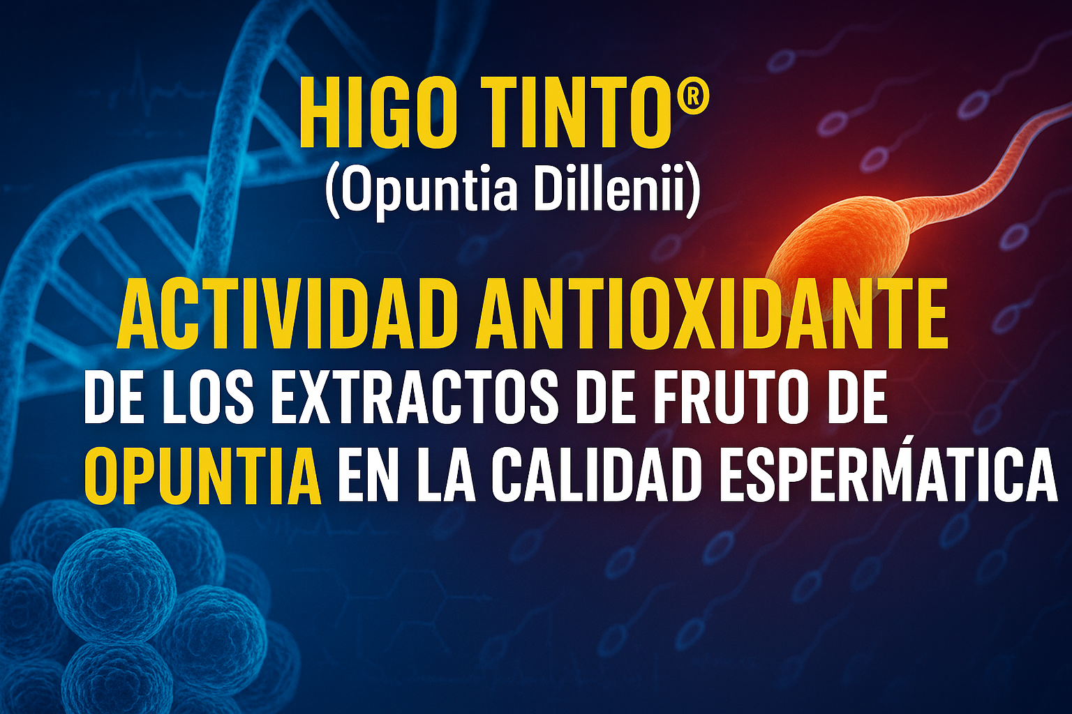 HIGO TINTO® Y FERTILIDAD MASCULINA: Antioxidantes naturales para proteger la vida desde su origen