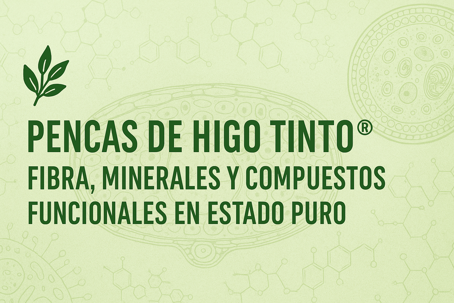 🌿 PENCAS DE HIGO TINTO®: FIBRA, MINERALES Y COMPUESTOS FUNCIONALES EN ESTADO PURO