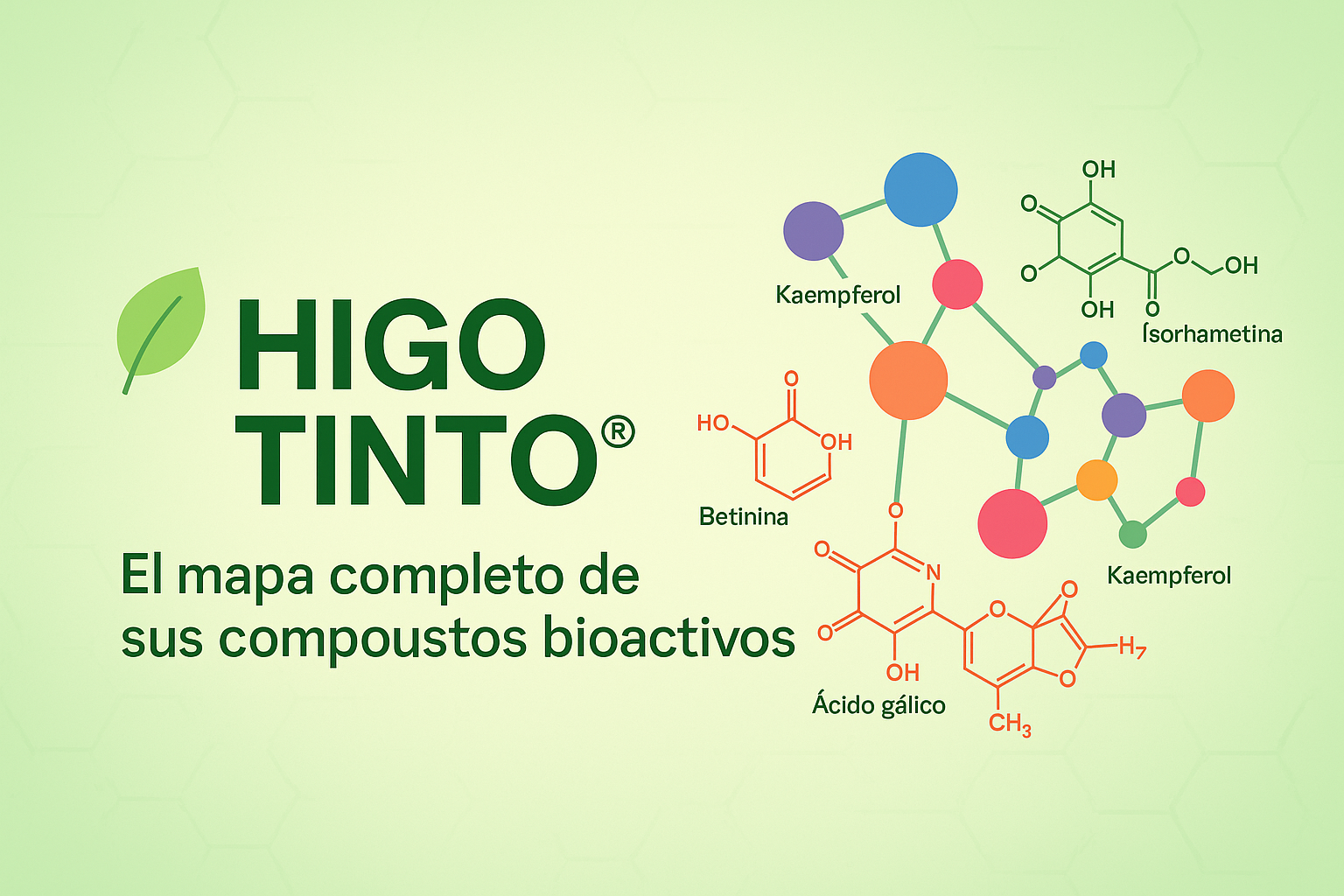 🌿HIGO TINTO®: El mapa completo de sus compuestos bioactivos, hoja por hoja y fruto por fruto