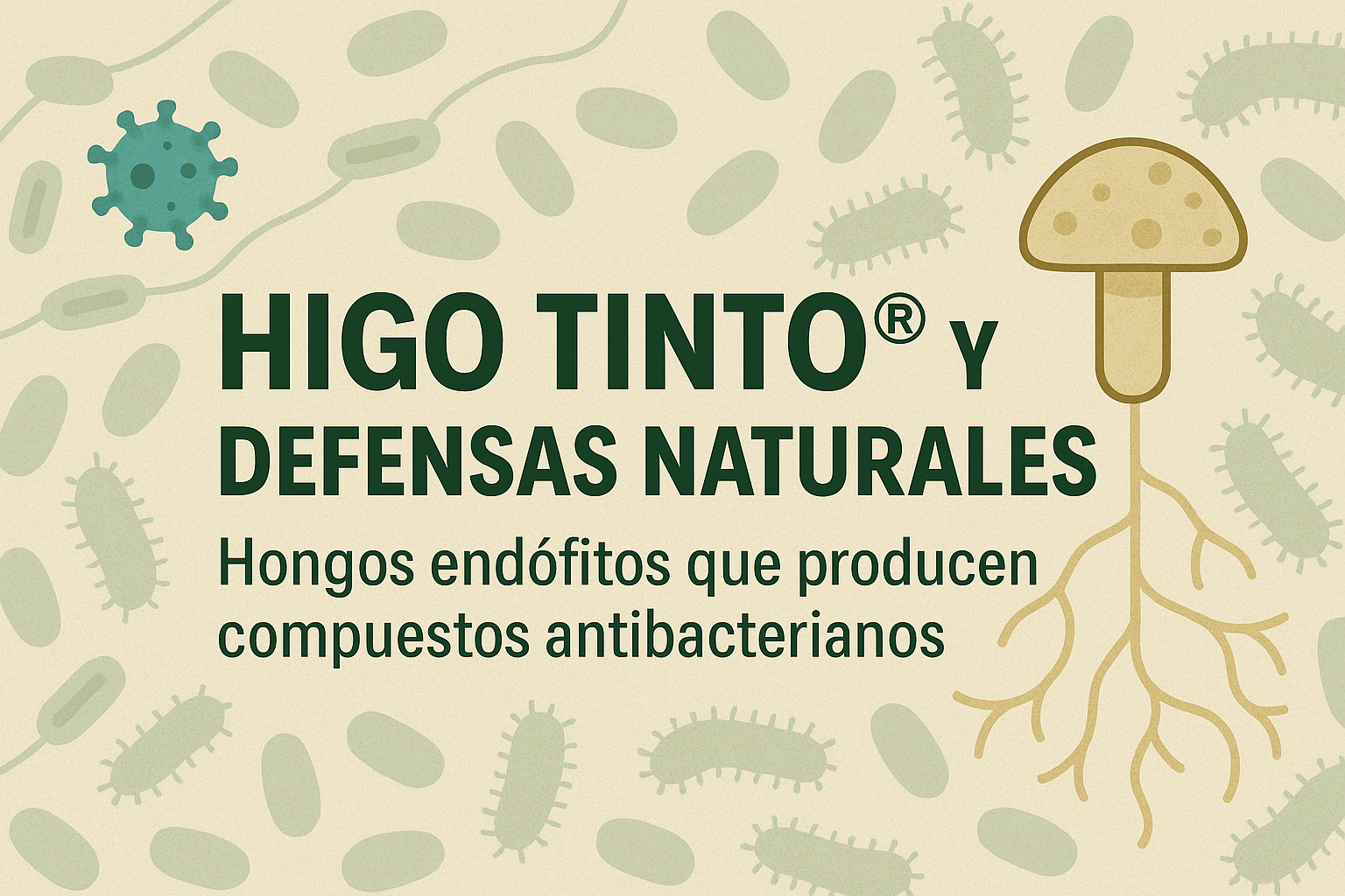 HIGO TINTO® Y DEFENSAS NATURALES: Hongos endófitos que producen compuestos antibacterianos como la equisetina
