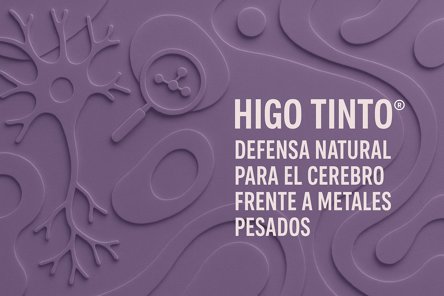 HIGO TINTO® Y NEUROPROTECCIÓN: Defensa natural frente a la toxicidad por plomo