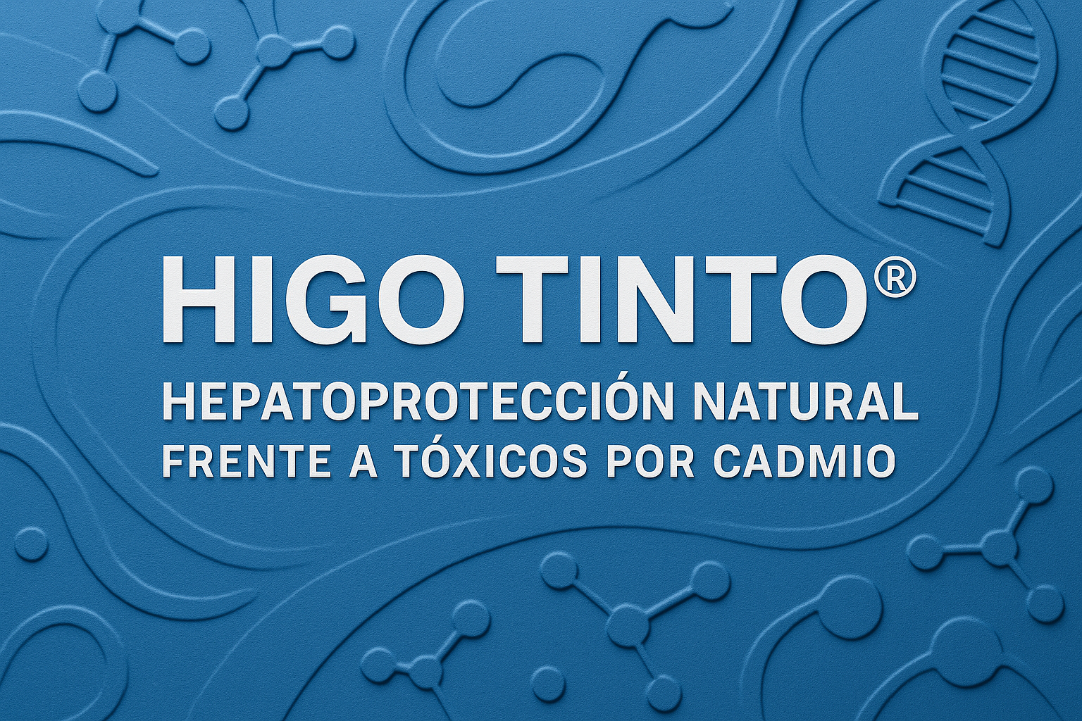 HIGO TINTO® Y SALUD HEPÁTICA: Protección real frente al daño oxidativo del hígado