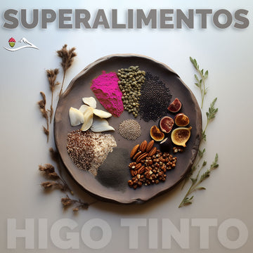 SUPERALIMENTOS