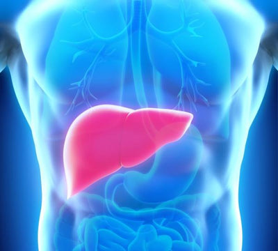 HIGO TINTO and its protective and regenerative power on the liver