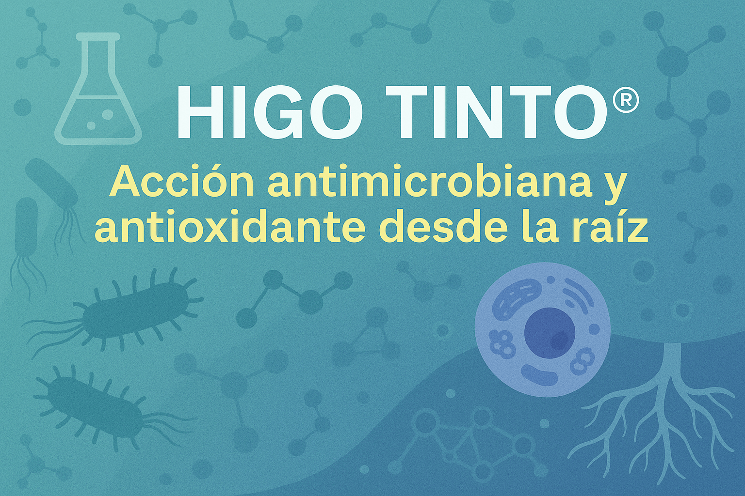 HIGO TINTO®: Acción antimicrobiana y antioxidante desde la raíz - Tuno Canarias