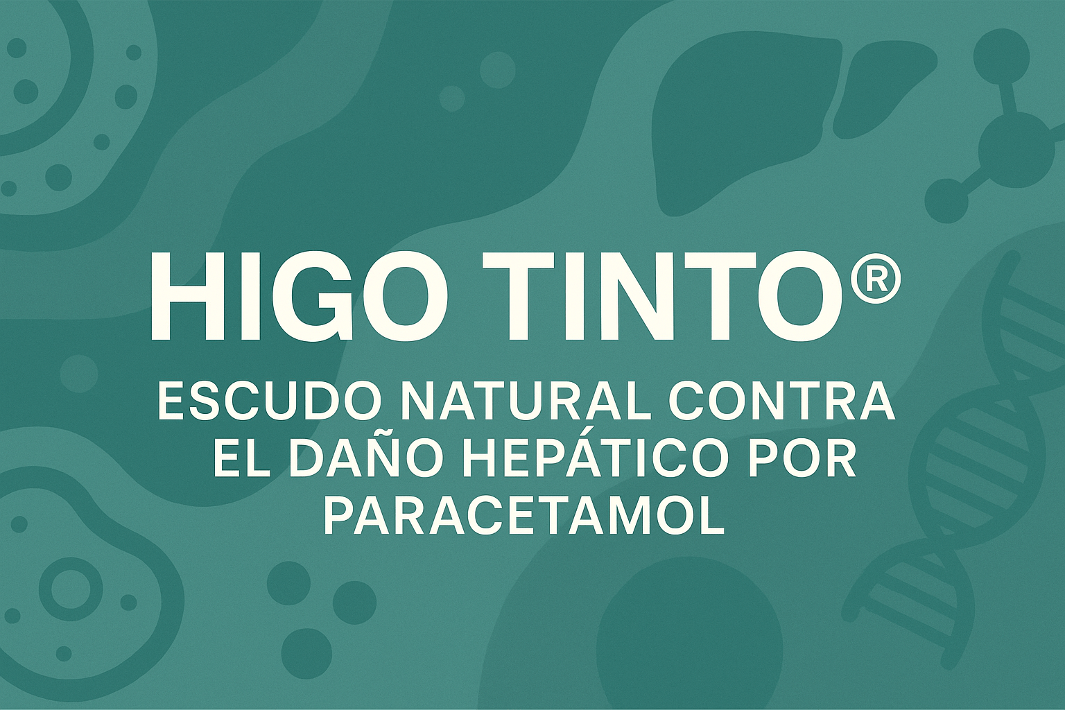 HIGO TINTO® Y EL HÍGADO: protección natural frente al daño hepático por medicamentos - Tuno Canarias
