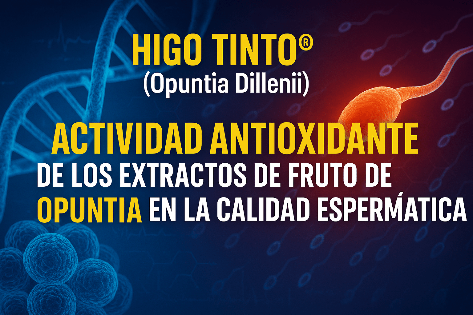 HIGO TINTO® Y FERTILIDAD MASCULINA: Antioxidantes naturales para proteger la vida desde su origen - Tuno Canarias