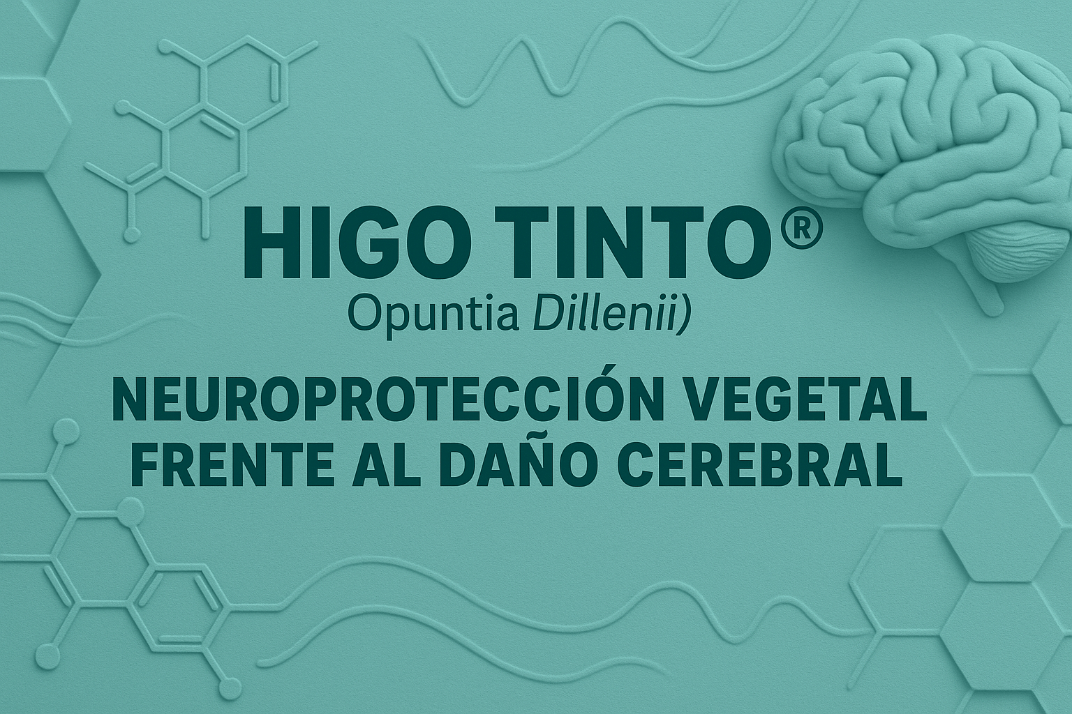 HIGO TINTO® Y PROTECCIÓN CEREBRAL: Defensa natural frente a daño neurológico por isquemia - Tuno Canarias