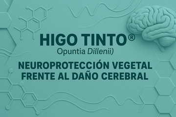 HIGO TINTO® Y PROTECCIÓN CEREBRAL: Defensa natural frente a daño neurológico por isquemia - Tuno Canarias