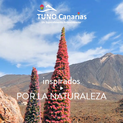 HIGO TINTO en Polvo de Tuno Canarias 200Gr - Complemento Natural Balancear  Nivel de Azúcar - Rico en