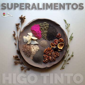SUPERALIMENTOS: Los Guardianes de tu Salud - Tuno Canarias