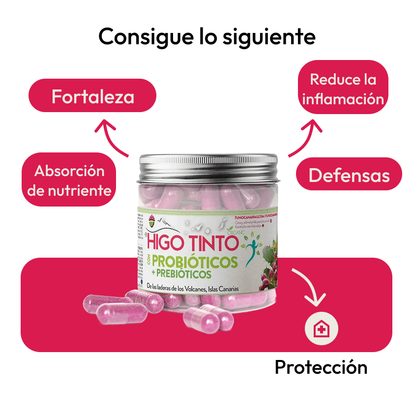 Cápsulas de Probióticos + Prebióticos + HIGO TINTO® 90 cáps - Tuno Canarias
